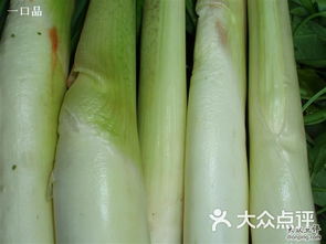 布吉农产品批发市场 粤港澳大湾区“菜篮子”的枢纽与变迁