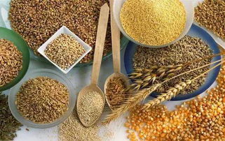 商务快报 新年伊始，食用农产品批发价格小幅回落